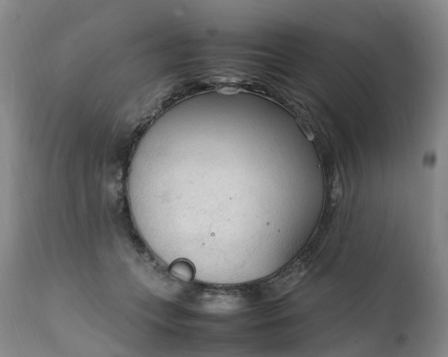 X0000111250559200907091426