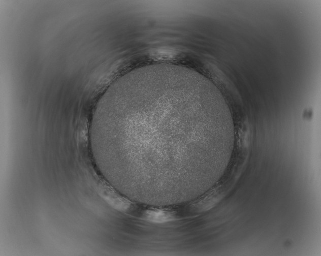 X0000111250561200907091426