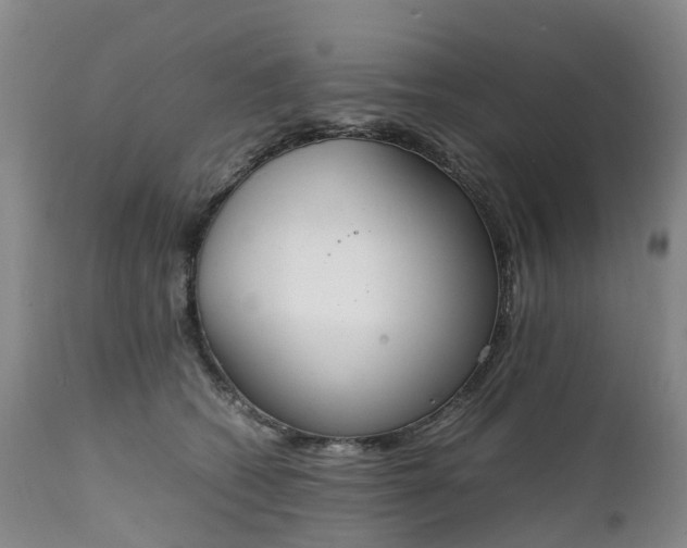 X0000111250562200907091426