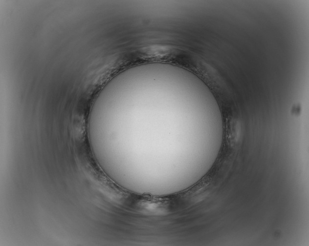 X0000111250563200907091426