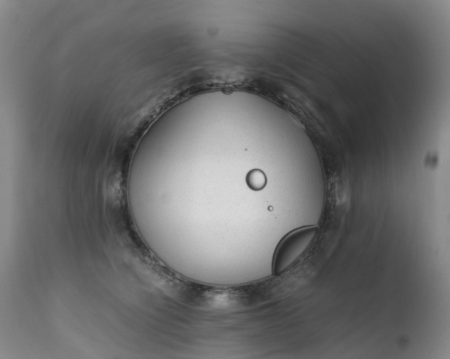 X0000111250564200907091426