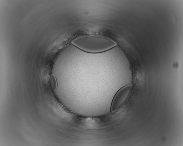 X0000111250566200907091426