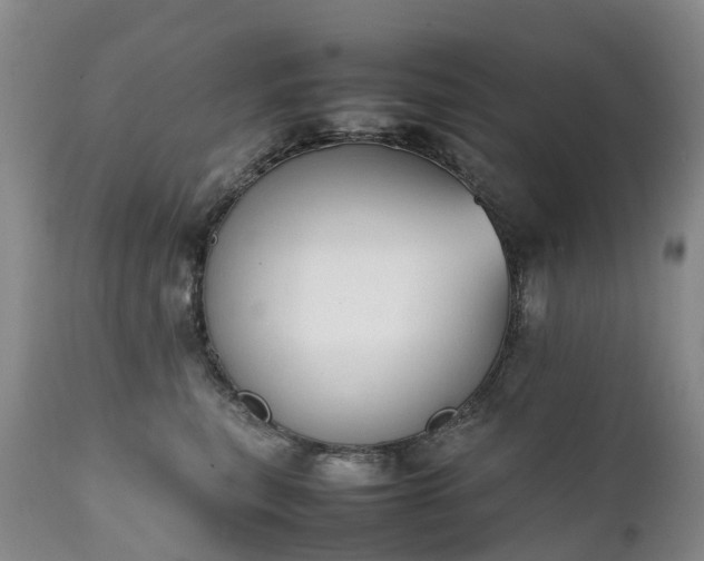 X0000111250567200907091426