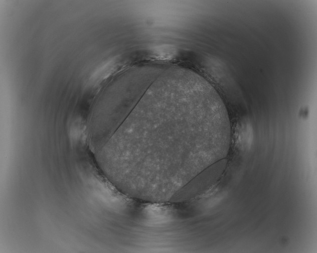 X0000111250568200907091426