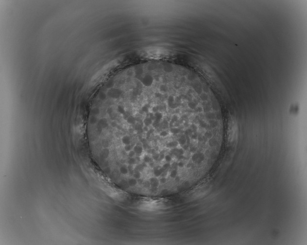 X0000111250569200907091426