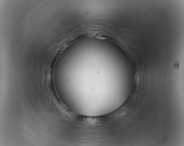 X0000111250570200907091426