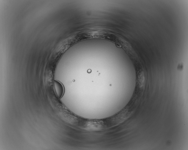 X0000111250571200907091426