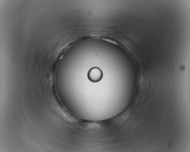 X0000111250572200907091426