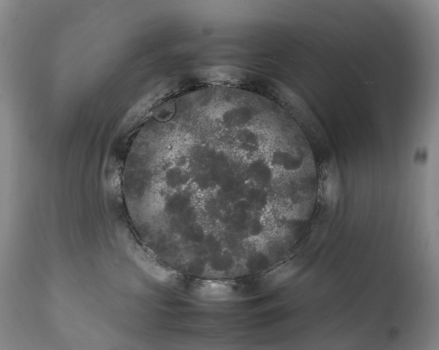 X0000111250573200907091426