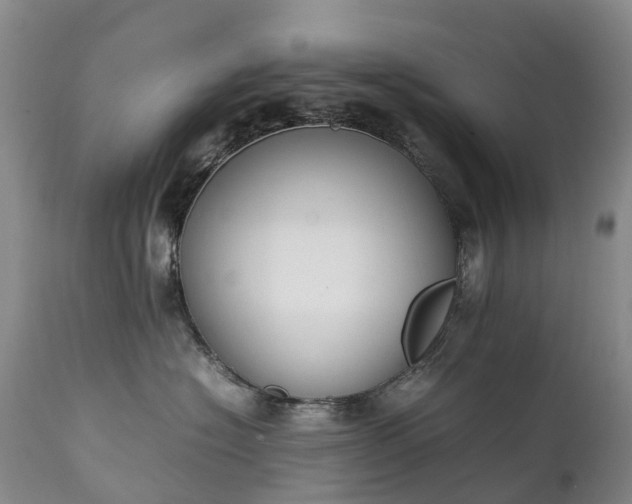 X0000111250574200907091426