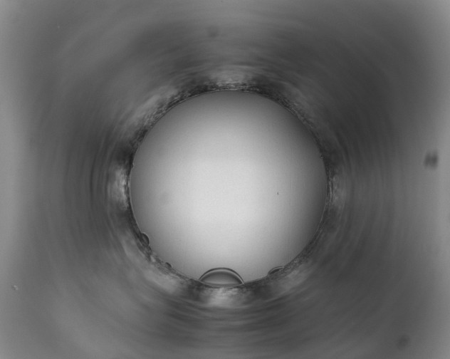 X0000111250575200907091426