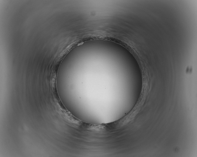 X0000111250576200907091426