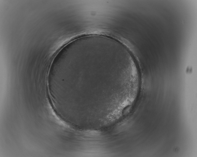 X0000111250577200907091426