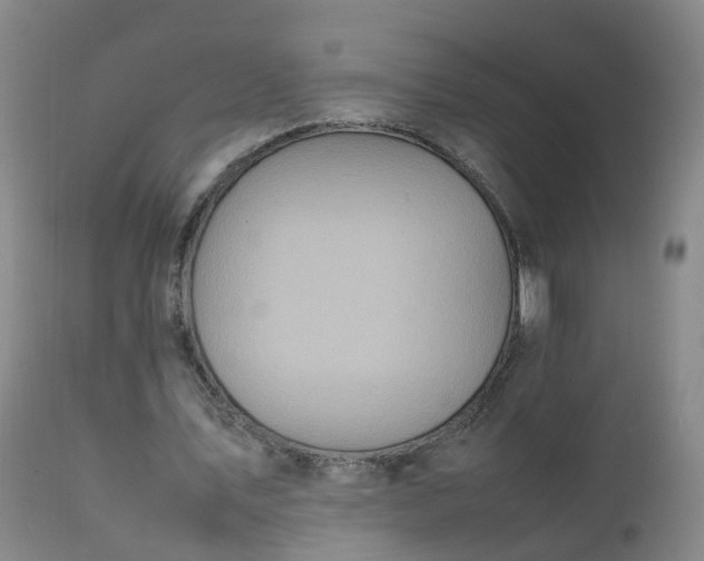 X0000111250579200907091426