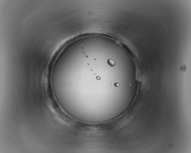 X0000111250580200907091426