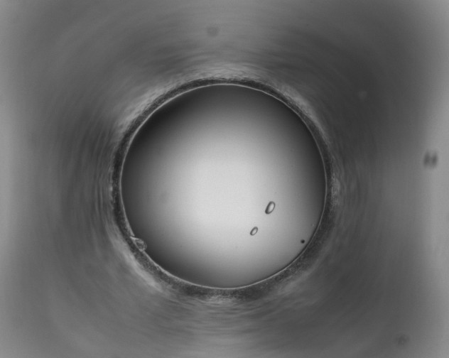 X0000111250581200907091426