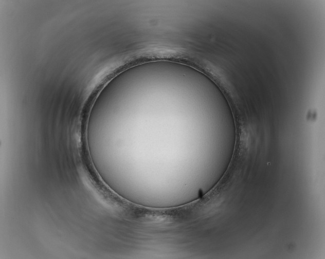 X0000111250582200907091426