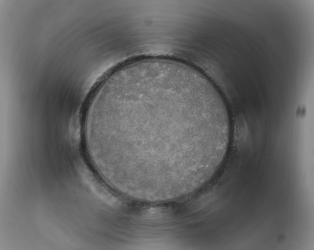 X0000111250584200907091426