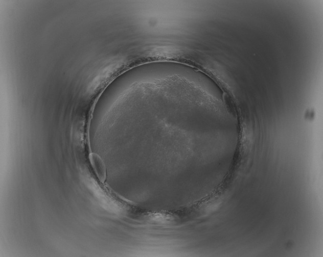 X0000111250585200907091426