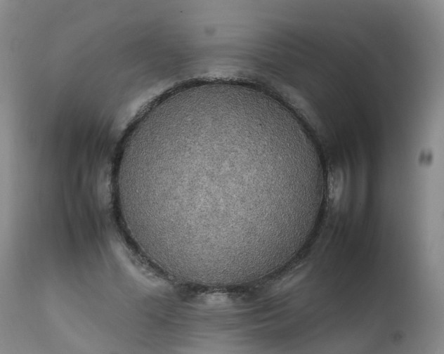 X0000111250588200907091426