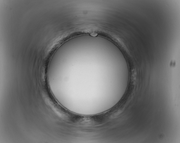 X0000111250589200907091426