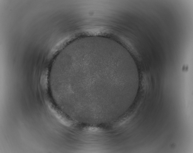 X0000111250590200907091426