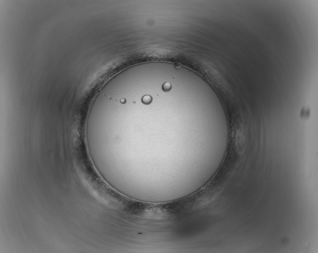 X0000111250591200907091426