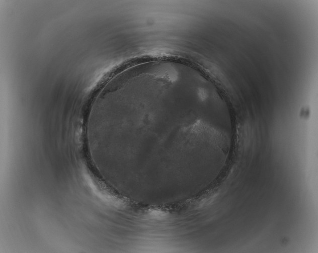 X0000111250592200907091426