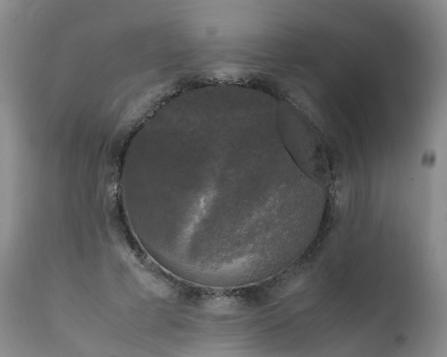 X0000111250593200907091426