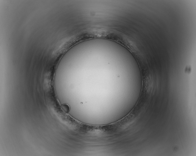 X0000111250594200907091426