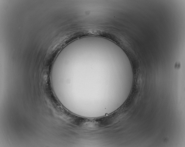 X0000111250595200907091426