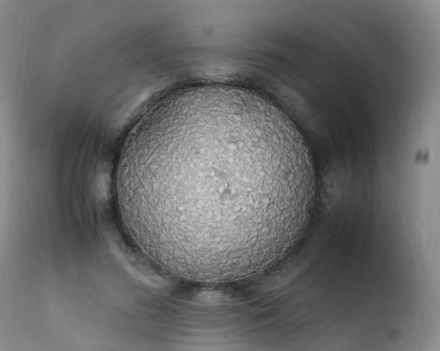 X0000111250596200907091426