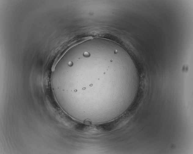 X0000111250597200907091426