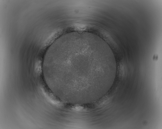 X0000111250598200907091426