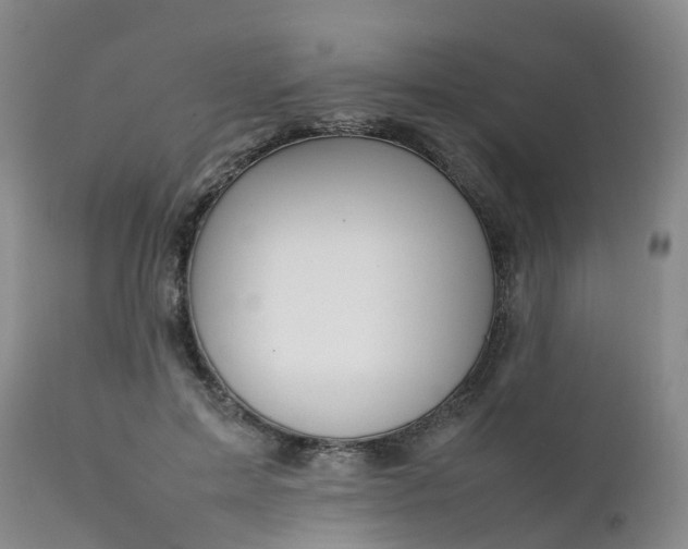 X0000111250599200907091426