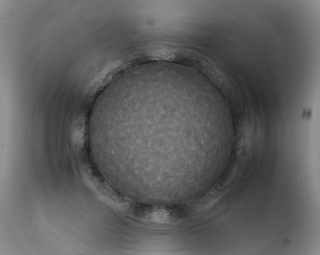 X0000111250600200907091426