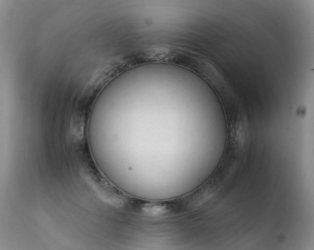 X0000111250602200907091425