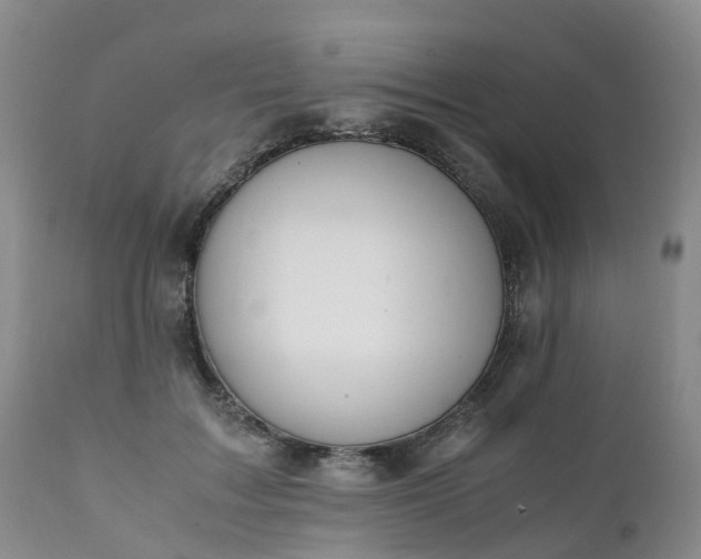 X0000111250603200907091425