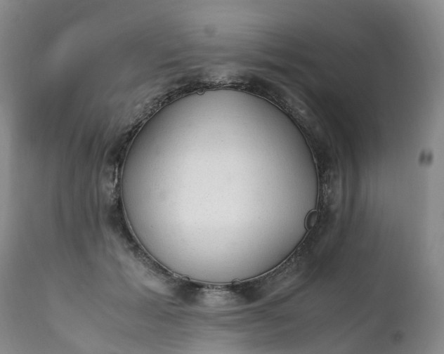 X0000111250605200907091425