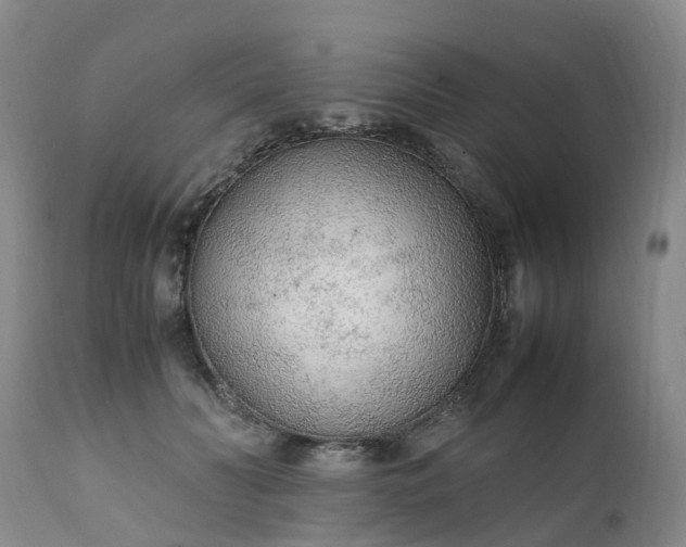 X0000111250606200907091425