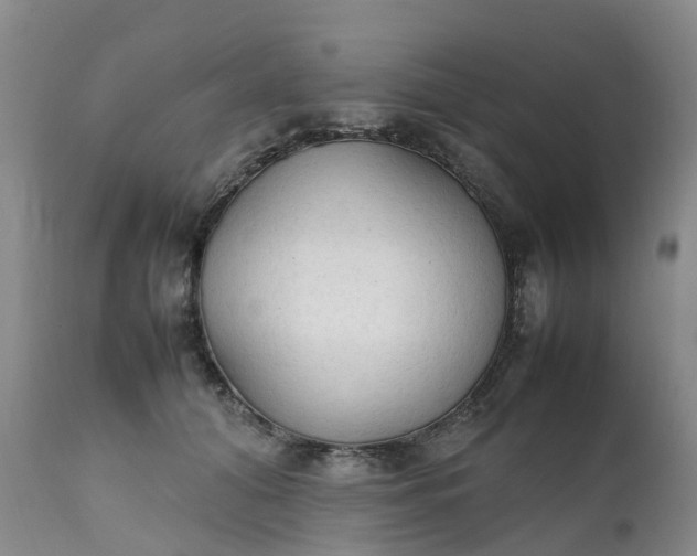 X0000111250608200907091425