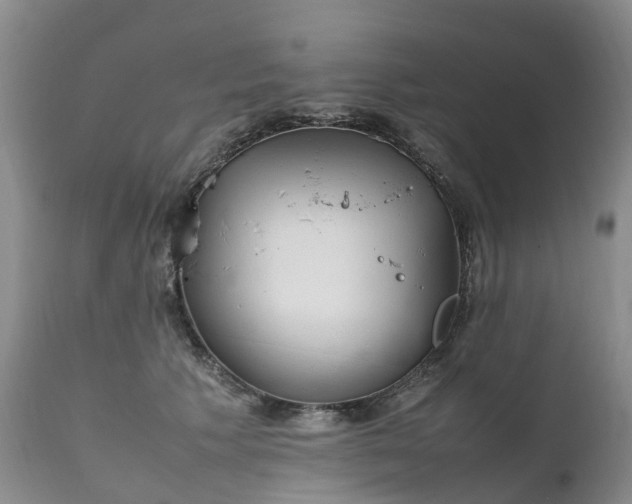 X0000111250609200907091425