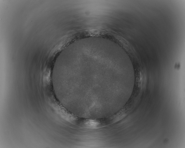 X0000111250610200907091425