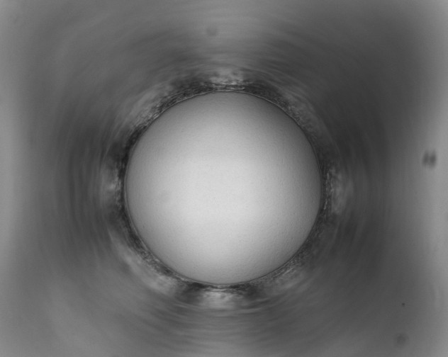 X0000111250614200907091425