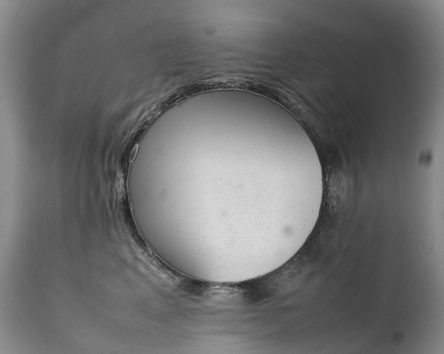 X0000111250617200907091425