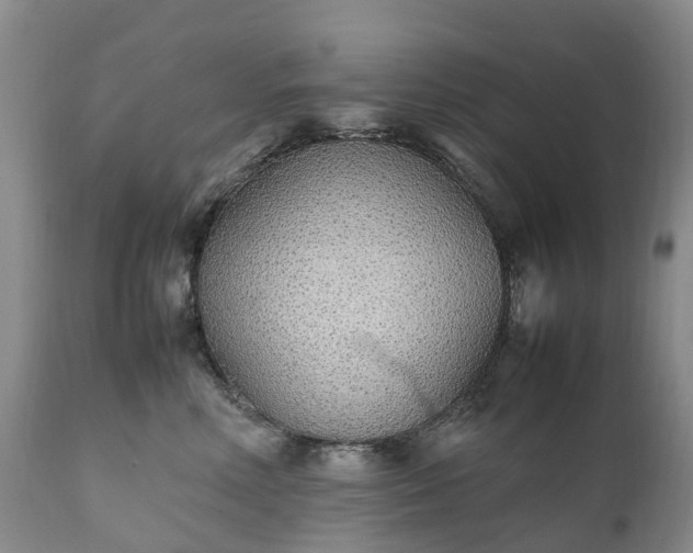 X0000111250618200907091425