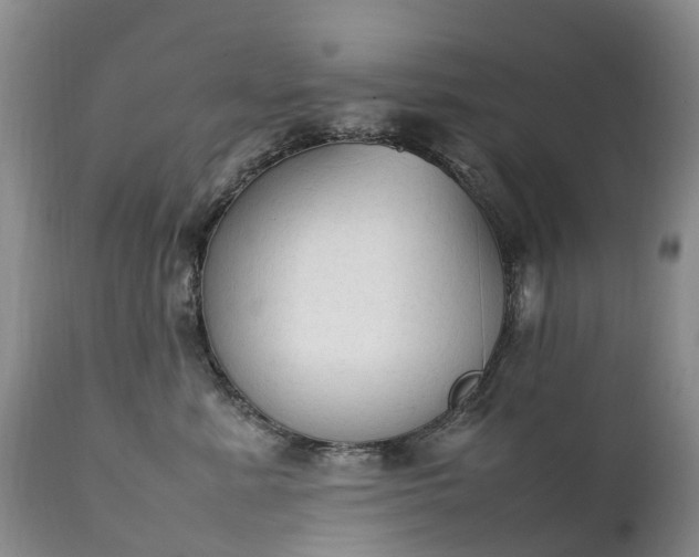 X0000111250619200907091425