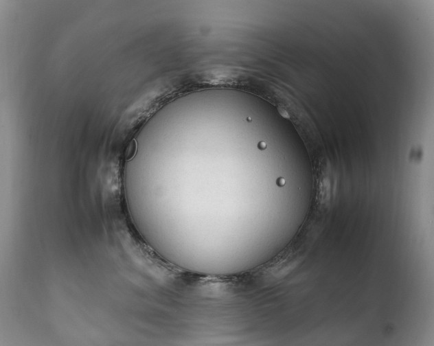 X0000111250620200907091425