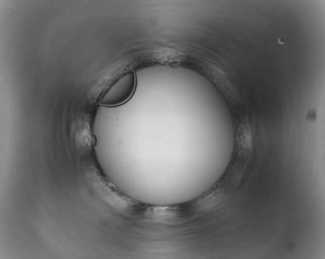 X0000111250622200907091425