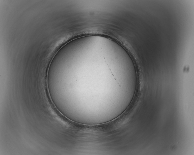 X0000111250625200907091424